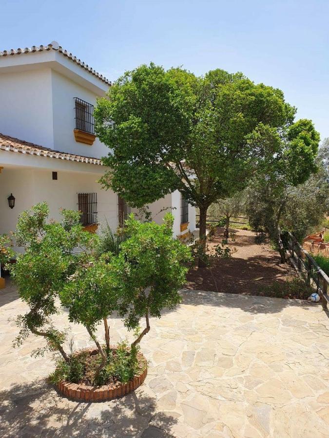 Вилла Cortijo El Arrejadero Villanueva del Rosario Экстерьер фото